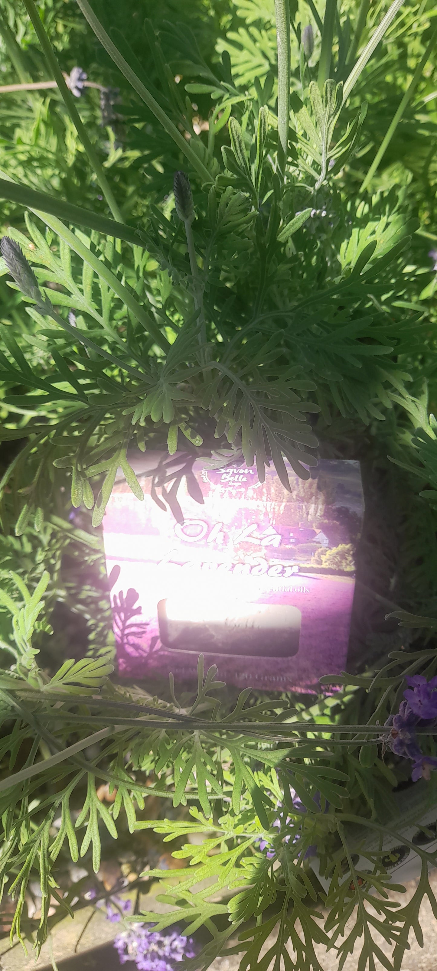 Oh la lavender Soap